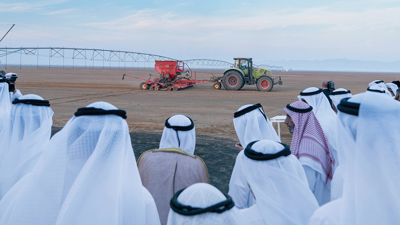 جانب من إطلاق المرحلة الأولى لمزرعة القمح في منطقة مليحة.   وام