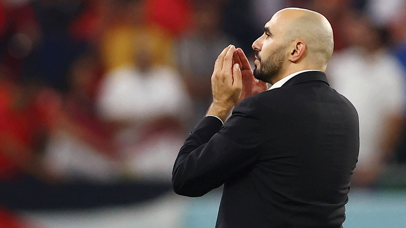 إنجاز «الأسود» جاء على يد المدرب المغربي وليد الركراكي. رويترز.