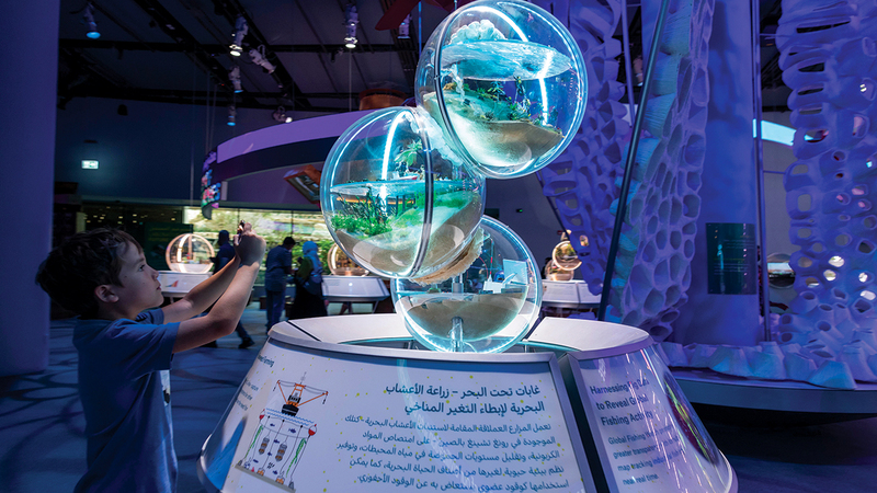 المدينة تتابع إرث «إكسبو 2020 دبي» في القضايا البيئية لأجل مستقبل أكثر إشراقاً.   أرشيفية