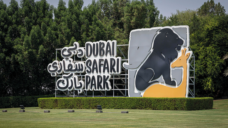 «دبي سفاري بارك» افتتحت أبوابها في 12 ديسمبر عام 2017 وهي واحدة من أبرز حدائق السفاري في العالم. أرشيفية