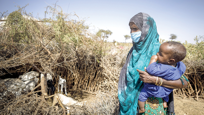 فقدان المحاصيل في إثيوبيا فاقم مشكلات السكان.   عن «منظمة الفاو»