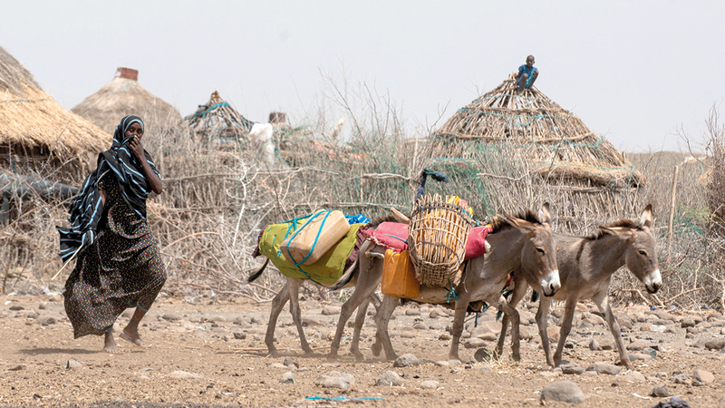 في إثيوبيا تزداد قسوة الحياة بسبب الحرب والجفاف.    رويترز