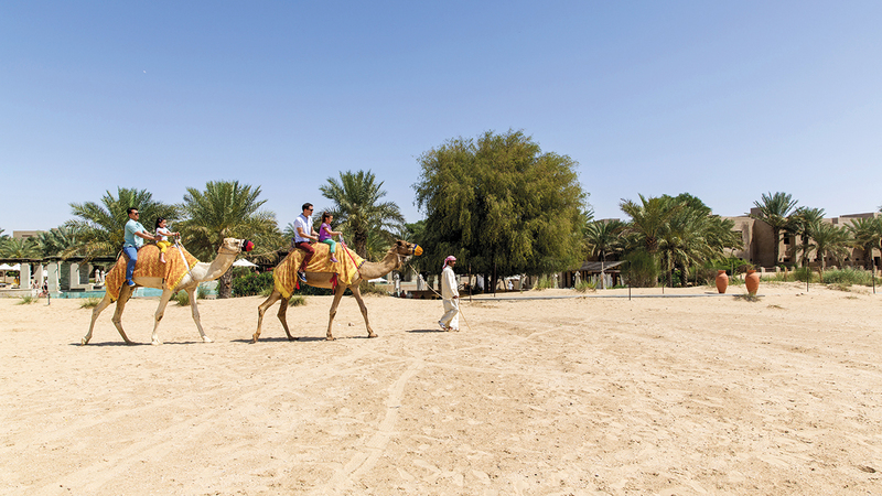 تجارب ممتعة لركوب الخيل والجمال ورحلات السفاري وفنون الرماية.  من المصدر