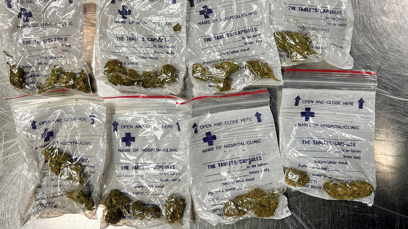 جزء من الماريغوانا المضبوطة.   من المصدر