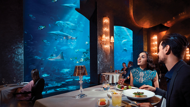 دبي نجحت في ترسيخ مكانتها وجهة رائدة على مستوى العالم في قطاع المأكولات وفنون الطهي.   من المصدر