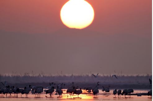 صور متفرقة لشروق وغروب الشمس في بعض بلدان العالم . الصور عن وكالات