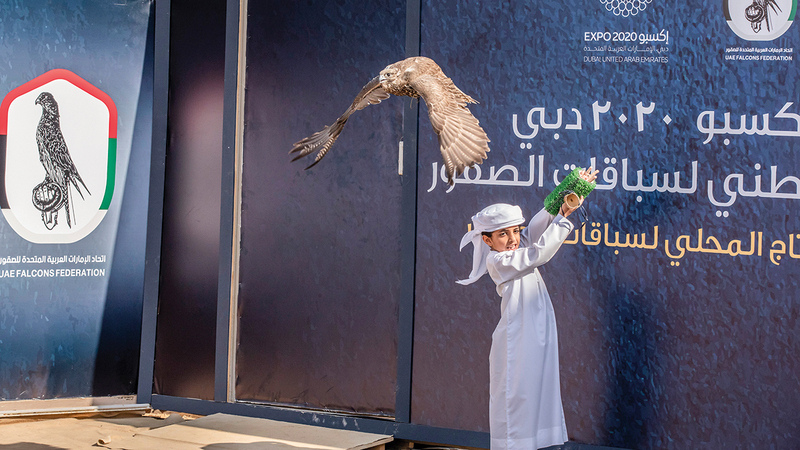 البطولة تعد امتداداً لمسيرة اتحاد الإمارات للصقور في دعم هذه الرياضة التراثية.   من المصدر