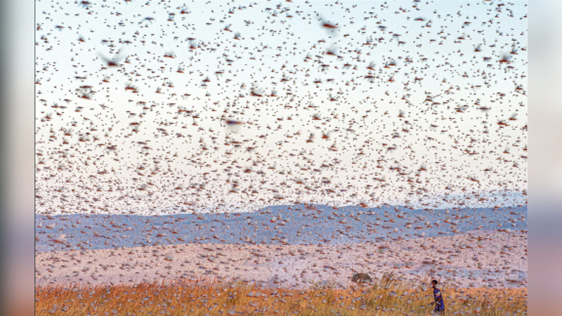 مايكل مارتينيلي - إيطاليا