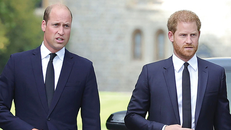 الأميران ويليام وهاري بدأت المنافسة بينهما منذ الطفولة. أرشيفية