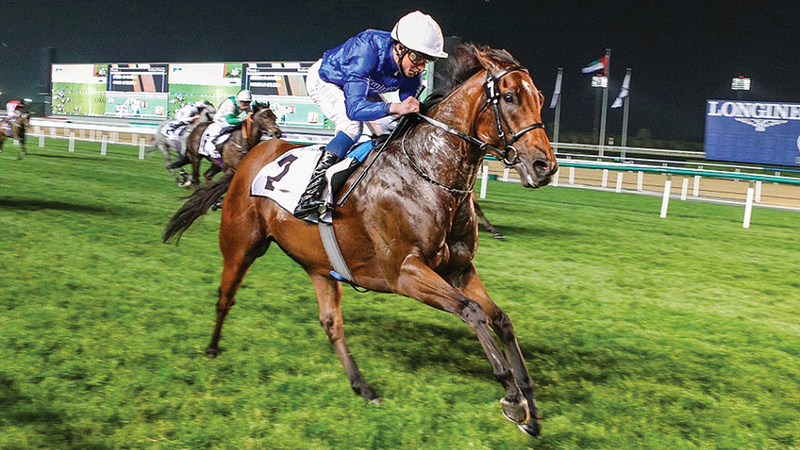 85 horses competed for the titles of the fourth evening of the Dubai World Cup Carnival