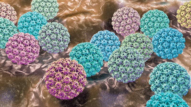 سرطان عنق الرحم يحتل المرتبة السادسة بين السرطانات التي تصيب الإناث. أرشيفية