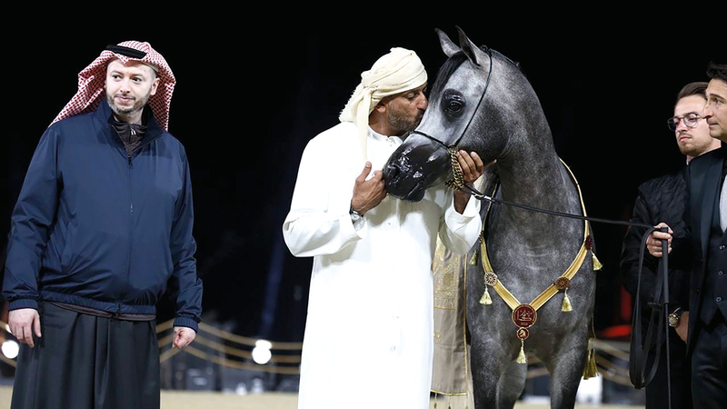 “Dubai Stud” is crowned with gold at the “Katara” Arabian Horse Festival