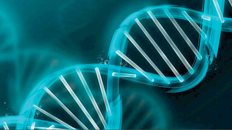 علم الجينات يستطيع توقع الأمراض التي يمكن أن تصيب الإنسان مستقبلاً. من المصدر