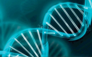 الصورة: الجينوم الإماراتي يستهدف جمع مليون عينة خلال 3 سنوات