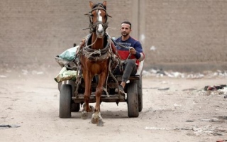 الصورة: لاعب كمال أجسام مصري يجمع القمامة لتمويل حلمه.. "صور"