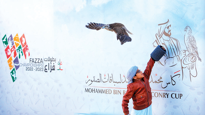 الصقارون الصغار شاركوا بـ 175 طيراً. من المصدر