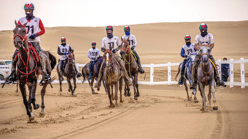 The President’s Cup for Ability kicks off in Al Wathba today