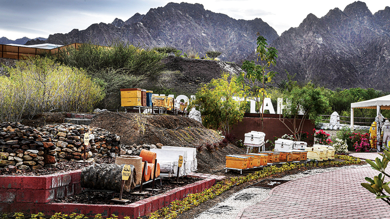 «حديقة حتّا» الأولى في المنطقة التي تقدم جولات لتمكين الزوّار من اكتشاف عالم نحل العسل المدهش. وام