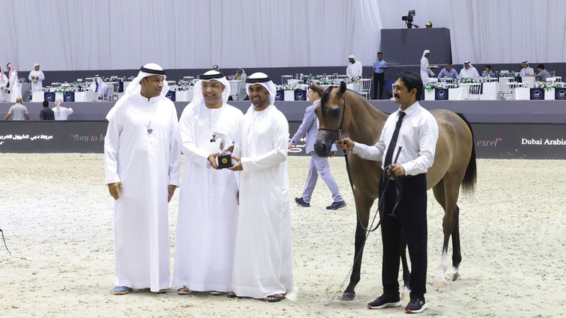 جانب من تتويج الخيول الفائزة في اليوم الأول من بطولة دبي الدولية للجواد العربي. الإمارات اليوم