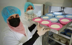 الصورة: «الأيادي الطيبة».. 140 سيدة يحاربن شبح البطالة في غزة