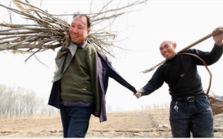 الصورة: صداقة ملهمة بين اثنين من أصحاب الهمم تثمر 10  آلاف شجرة