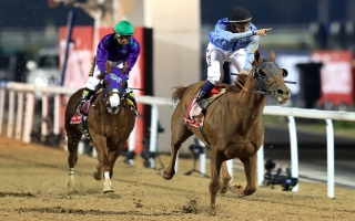 البرنامج الكامل لفعاليات كأس دبي العالمي 2023 لسباقات الخيول اليوم