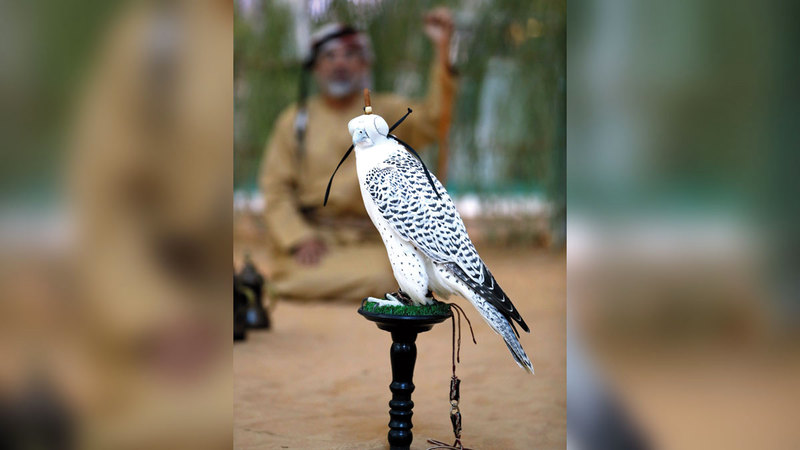 المعرض يعمل على تعزيز الصيد المستدام وصون الأنواع.    من المصدر