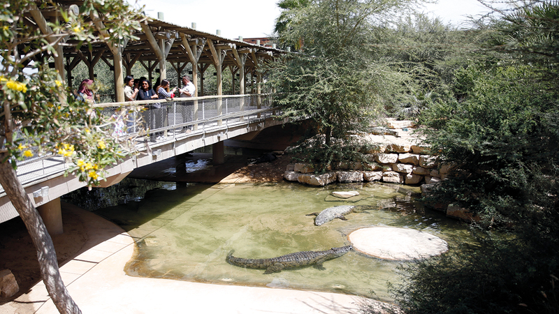 الحديقة تتيح لزوارها فرصة مشاهدة التماسيح عن قرب. إي.بي.إيه