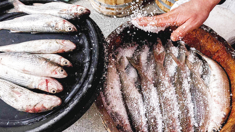 صنعة الفسيخ تحتاج إلى حرفيين مدربين.     أرشيفية