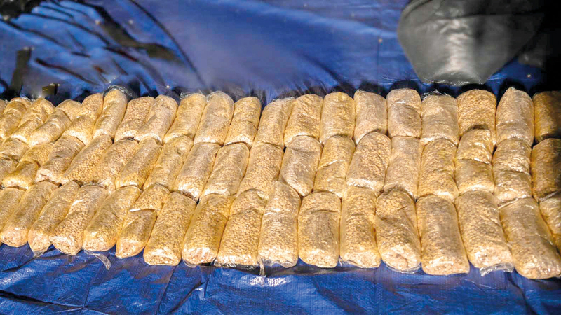 جانب من الحبوب المخدرة المضبوطة. من المصدر