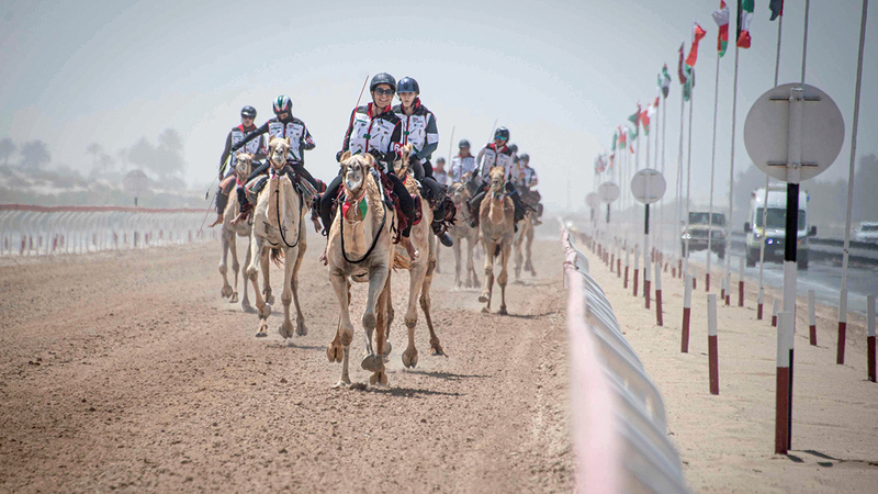 شهد السباق الذي امتد لمسافة 2 كلم مشاركة 16 متسابقاً من المقيمين في دولة الإمارات. من المصدر