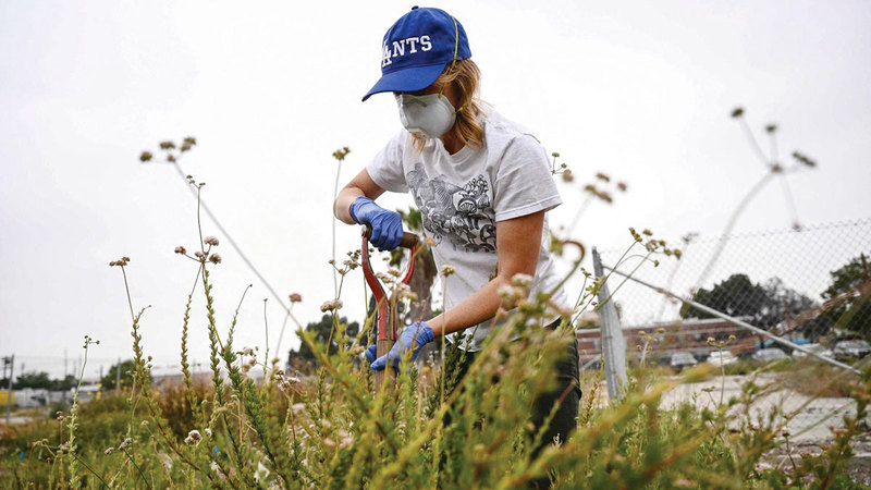 الباحثة دانييل ستيفنسون: التقنية الجديدة كلفتها بسيطة. أ.ف.ب