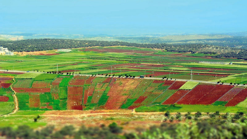 المناطق الصناعية والسياحية تقام فوق 4000 دونم غرب سلفيت. الإمارات اليوم