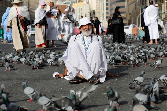 تطوف "حمامات الحرم" أرجاء مكة المكرمة، وتحلق فوق الرؤوس ليبادلوها الناس بالألفة وإطعامهم