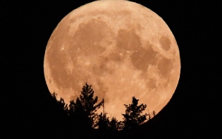 الصورة: بدر الفراشة يزين سماء المنطقة العربية