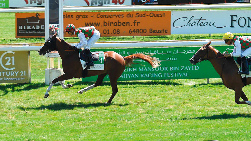 3 races in the Mansour Bin Zayed Festival Cup for Arabian Horses in France today