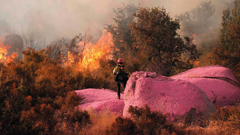 رجل إطفاء يقف عند صخرة مغطاة بمادة مقاومة للحرائق في كاليفورنيا.   أ.ف.ب