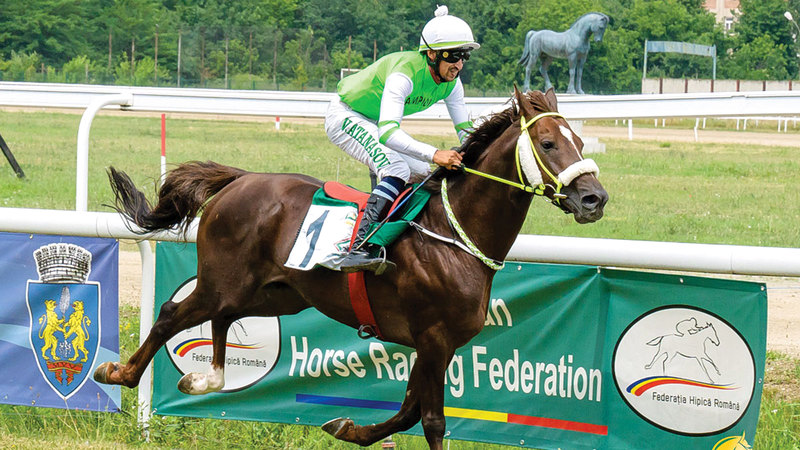 8 horses participate in the “Al Wathba Stallions” for purebred Arabian horses in Romania