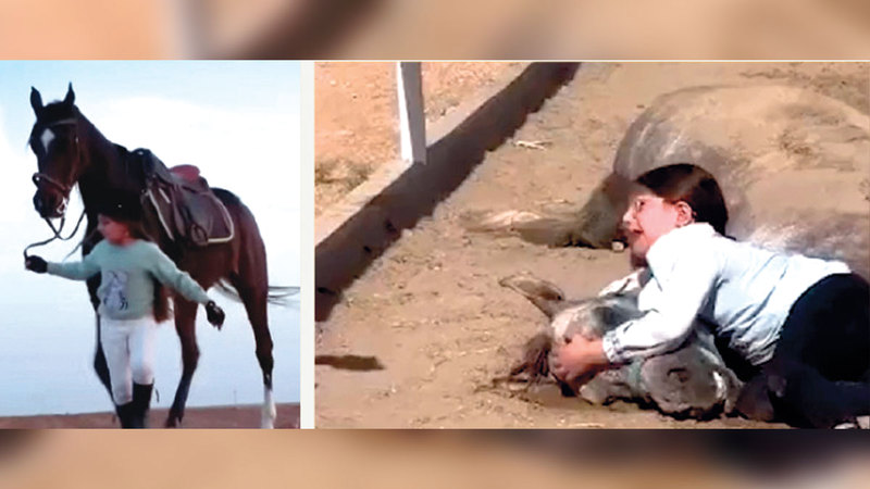 الفارسة الصغيرة لانيا فقدت فرسها وصديقها الوحيد «جسنو» وظهرت وهي تبكي عليه في فيديو. الإمارات اليوم