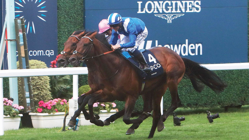 الجواد «حُكم» انتزع الفوز بفارق «الرأس القصير».  من المصدر