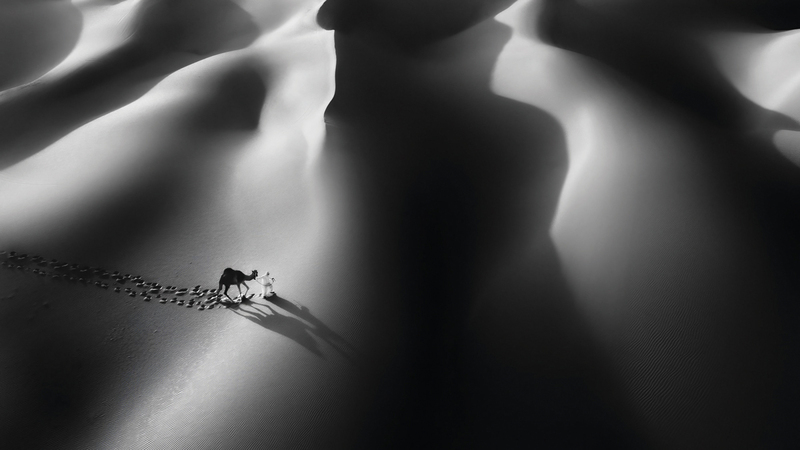 راشد السميطي الهرمي - الإمارات