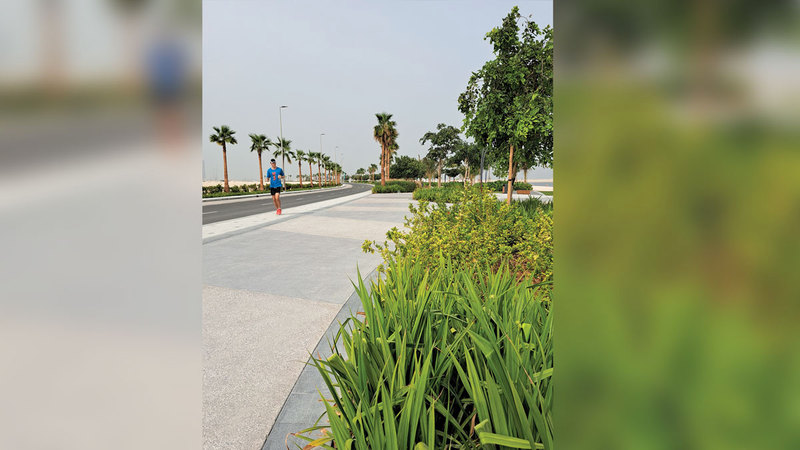 تصوير: أحمد عرديتي