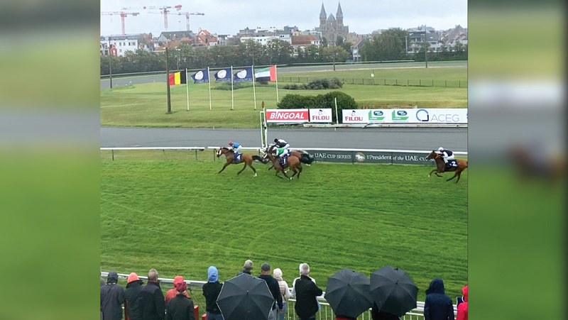 جانب من السباق الذي أقيم على مضمار ولينجتون.  من المصدر