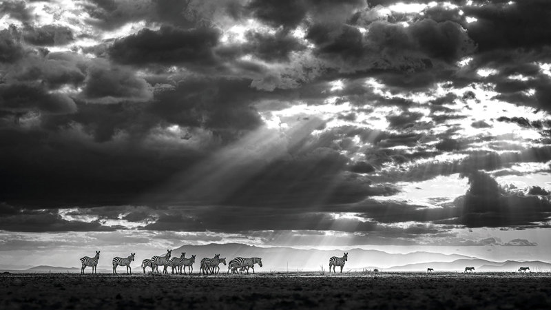 ديريك بومغارتنر &ndash; ألمانيا.