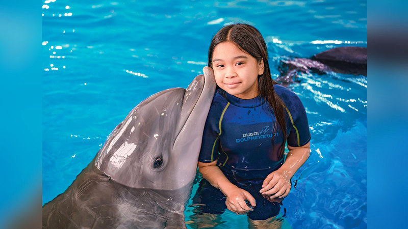 تصوير: أحمد عرديتي