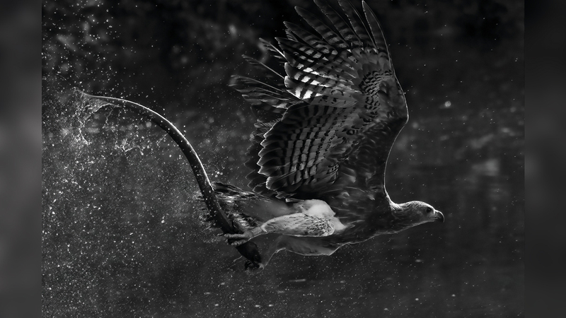 ليو تونغ لين - سنغافورة.