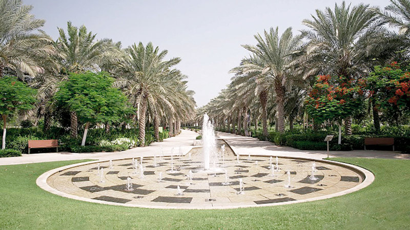 أطلقت «حديقة أم الإمارات» العديد من المبادرات بالتعاون من نساء إماراتيات لتقديم تجارب وأنشطة ترفيهية.  وام