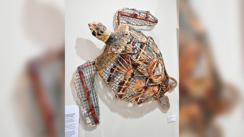 جناح آنا تَصدّره مجسم لسلحفاة من النفايات والزجاجات البلاستيكية المستعملة.   تصوير: إريك أرازاس