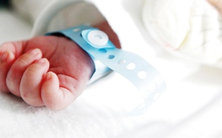 الصورة: دبي تسجل 34 ألف مولود جديد العام الماضي
