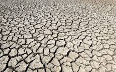 الصورة: الإمارات تدعو إلى تحرك عالمي عاجل لمواجهة ندرة المياه